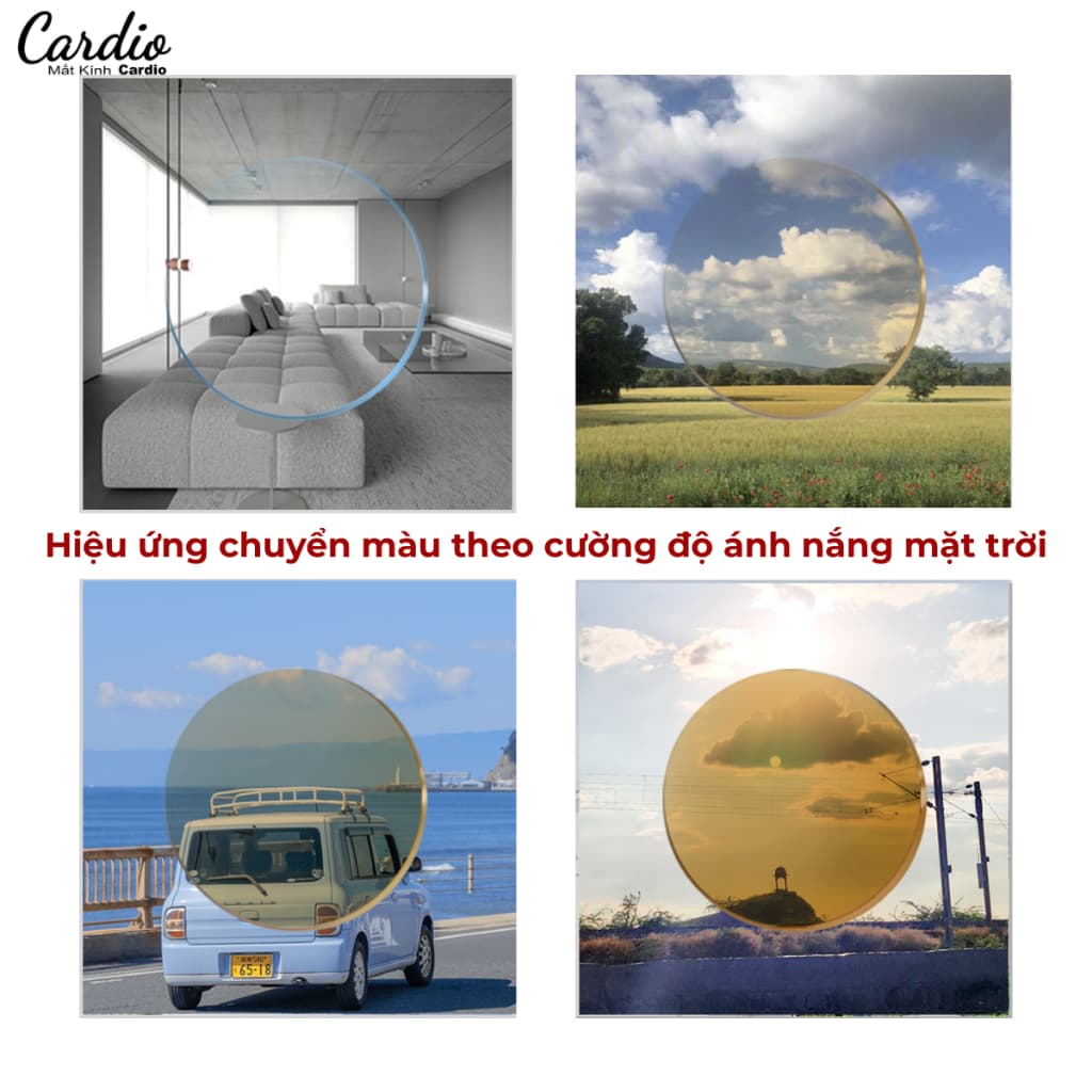 (Giá 1 cặp) Tròng Kính Đổi Màu Nâu Trà Cardio Lắp Được Cân Loạn, Tròng Kính Cận Đổi Màu Chống UV