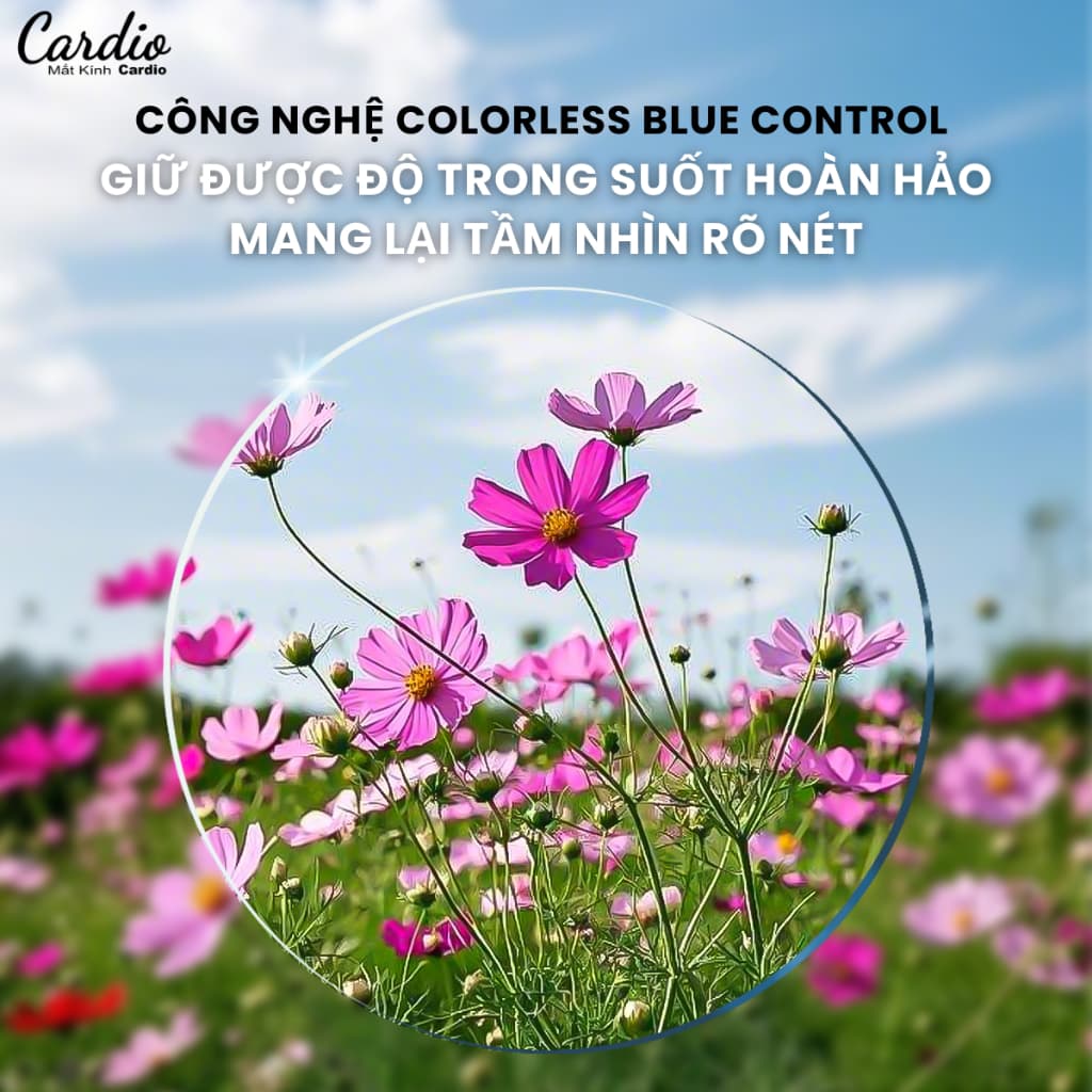Tròng Kính Cận Loạn Chống Ánh Sáng Xanh, Đổi Màu Khi Ra Nắng 1.56 Mắt Kính Cardio Nhận Lắp Kính Chính Xác Chất Lượng