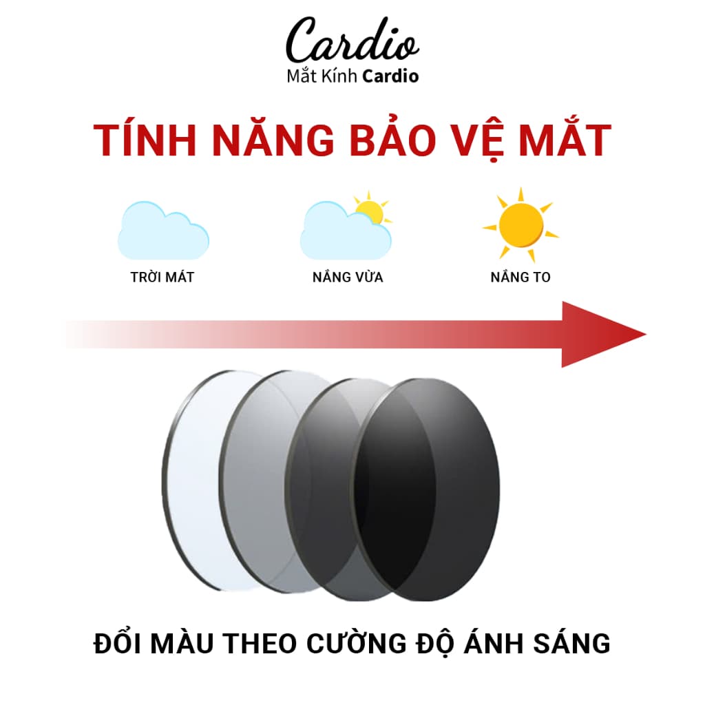 Tròng Kính Đổi Màu Rocky Edition Chống Ánh Sáng Xanh Đổi Màu Xám Khói Chống UV Lắp Được Cận Loạn