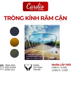 Tròng Kính Râm Cận Vis Care Chiết Suất 1.56 Màu Khói, Trà, Xanh Đậm Lắp Được Cận Loạn Yêu Cầu