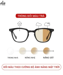 (Giá 1 cặp) Tròng Kính Đổi Màu Nâu Trà Cardio Lắp Được Cân Loạn, Tròng Kính Cận Đổi Màu Chống UV 3