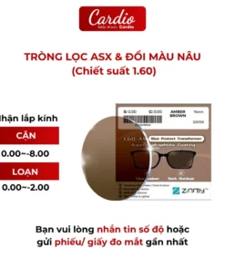 Tròng Kính Đổi Màu Khói Chống UV Zinmy 1.60 AS Đổi Màu Thời Trang Cardio Có Nhận Lắp Tròng Theo Độ Yêu CầuZINMY Transfo 6