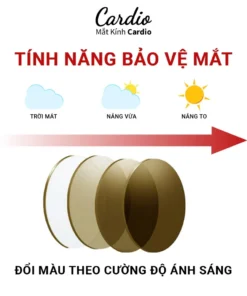 Tròng Kính Đổi Màu Nâu Trà RocKy Edition Chống Ánh Sáng Xanh Chống UV Lắp Được Cận Loạn 3