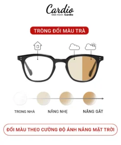 Tròng Kính Đổi Màu Nâu Trà Zinmy 1.60 AS Lọc Ánh Sáng Xanh Chống UV Cardio Có Nhận Lắp Tròng Cận Loạn Yêu Cầu 2