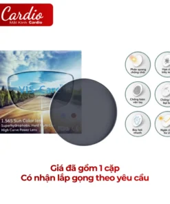 Tròng Kính Râm Cận Vis Care Chiết Suất 1.56 Màu Khói, Trà, Xanh Đậm Lắp Được Cận Loạn Yêu Cầu 6